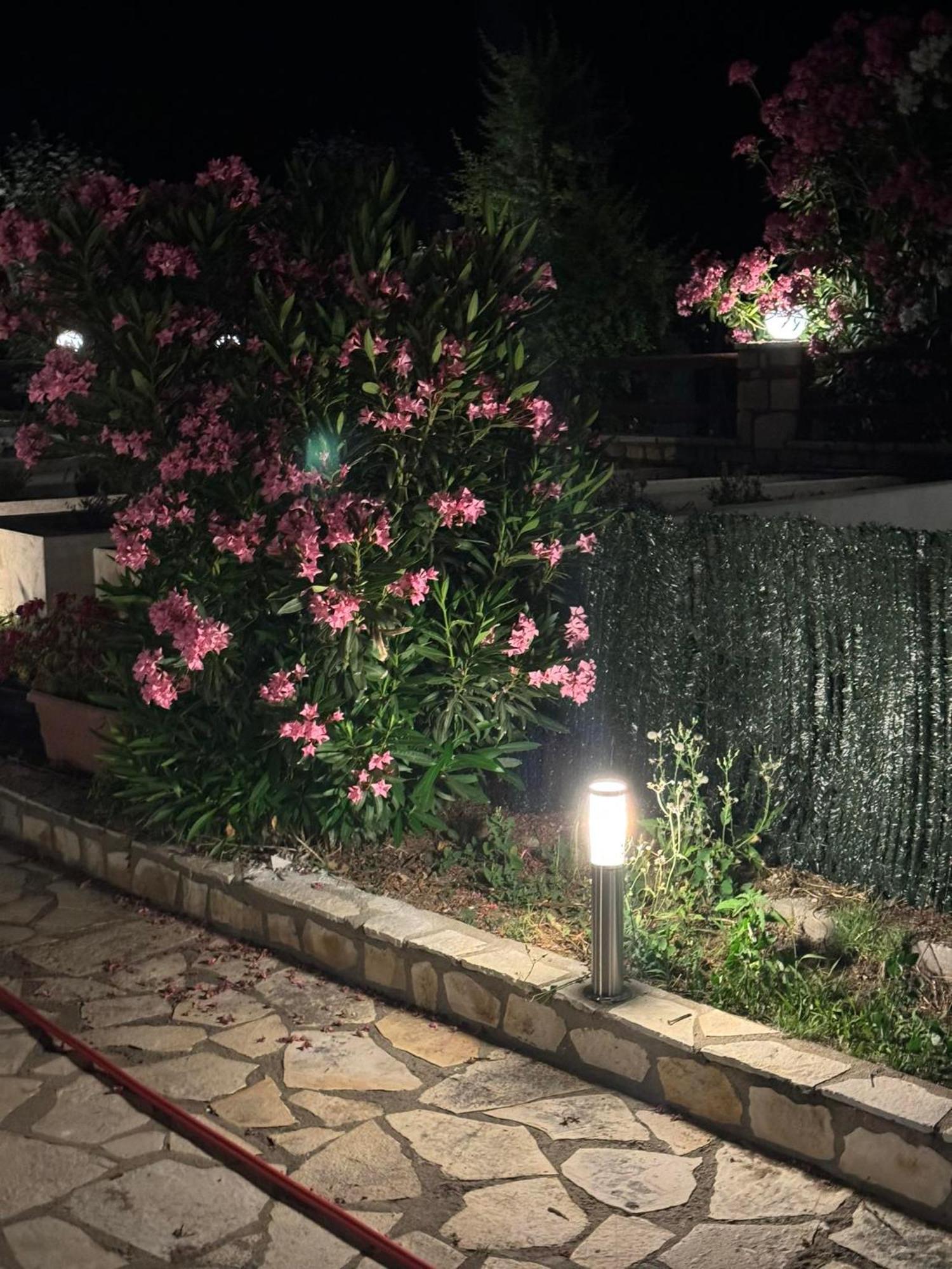 Villas Ormos Palace أورموس باناجياس المظهر الخارجي الصورة